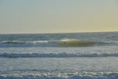 DSC_7246 (Large).JPG